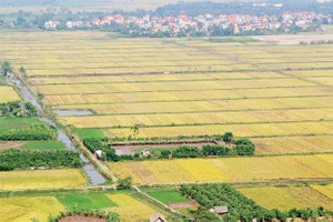 Kỳ vọng từ Luật Đất đai sửa đổi